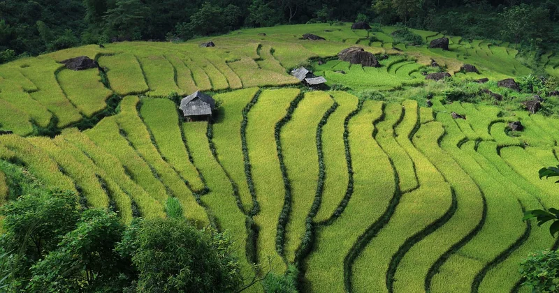 Quelles sont les activités insolites à faire au Vietnam ?