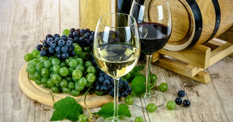 Dégustation de vin en Andalousie : une expérience radicalement différente