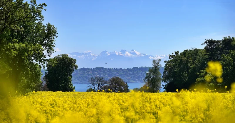 Le Tour du Mont-Blanc : le mythe, et la meilleure façon de le vivre