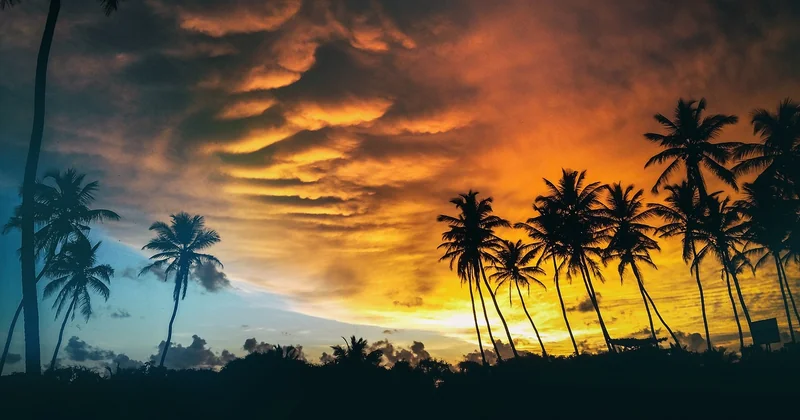 Le syndrome de wanderlust : une obsession qui change tout