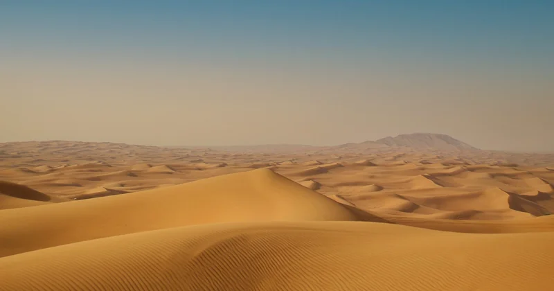 Quel budget prévoir pour un safari ? Des chiffres concrets